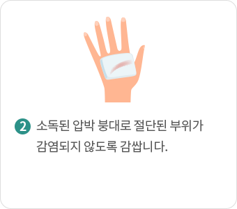 소독된 압박 붕대로 절단된 부위가 감염되지 않도록 감쌉니다.