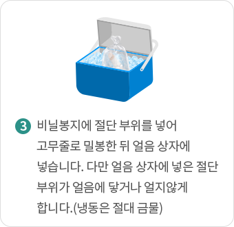 비닐봉지에 절단 부위를 넣어 고무줄로 밀봉한 뒤 얼음 상자에 넣습니다. 다만 얼음 상자에 넣은 절단 부위가 얼음에 닿거나 얼지않게 합니다.(냉동은 절대 금물)